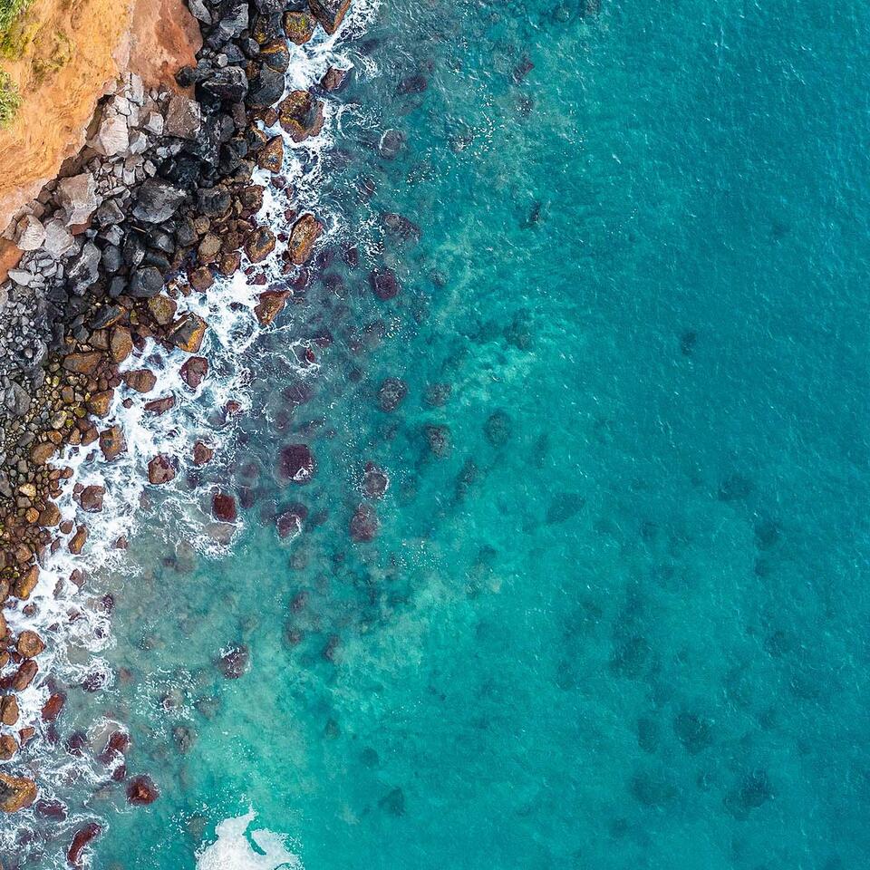 WAVE