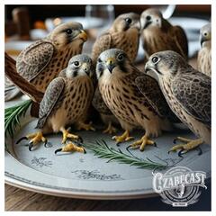 Who ordered all the Falcon? - CzabeCast
