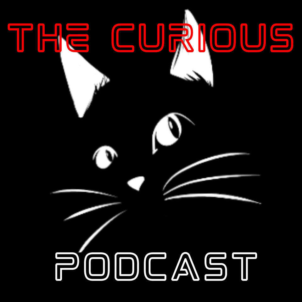 The Curious Cat Podcast