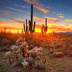 Arizona Vaca Podcast 1 of 5 - Elite 8 Set! - CzabeCast