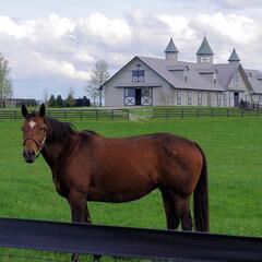 Here's A Few Facts About Kentucky... - CzabeCast