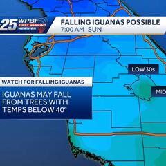 Cloudy, With A Chance of Iguanas - CzabeCast