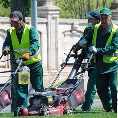 Lets Get These Lawn Mowing Puppies Organized! - CzabeCast
