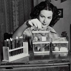 Hedy Lamarr And A Meandering Discussion on Beauty - CzabeCast
