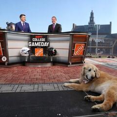 Herbie The Love Dog - CzabeCast