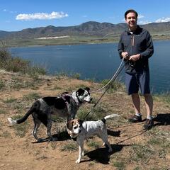 My Dogs Are Killing Me! - CzabeCast