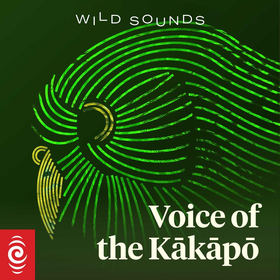 Wild Sounds: Voice of the Kākāpō