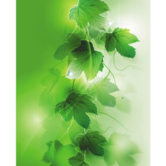 An Abundance of Grace