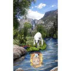 An Abundance of Grace