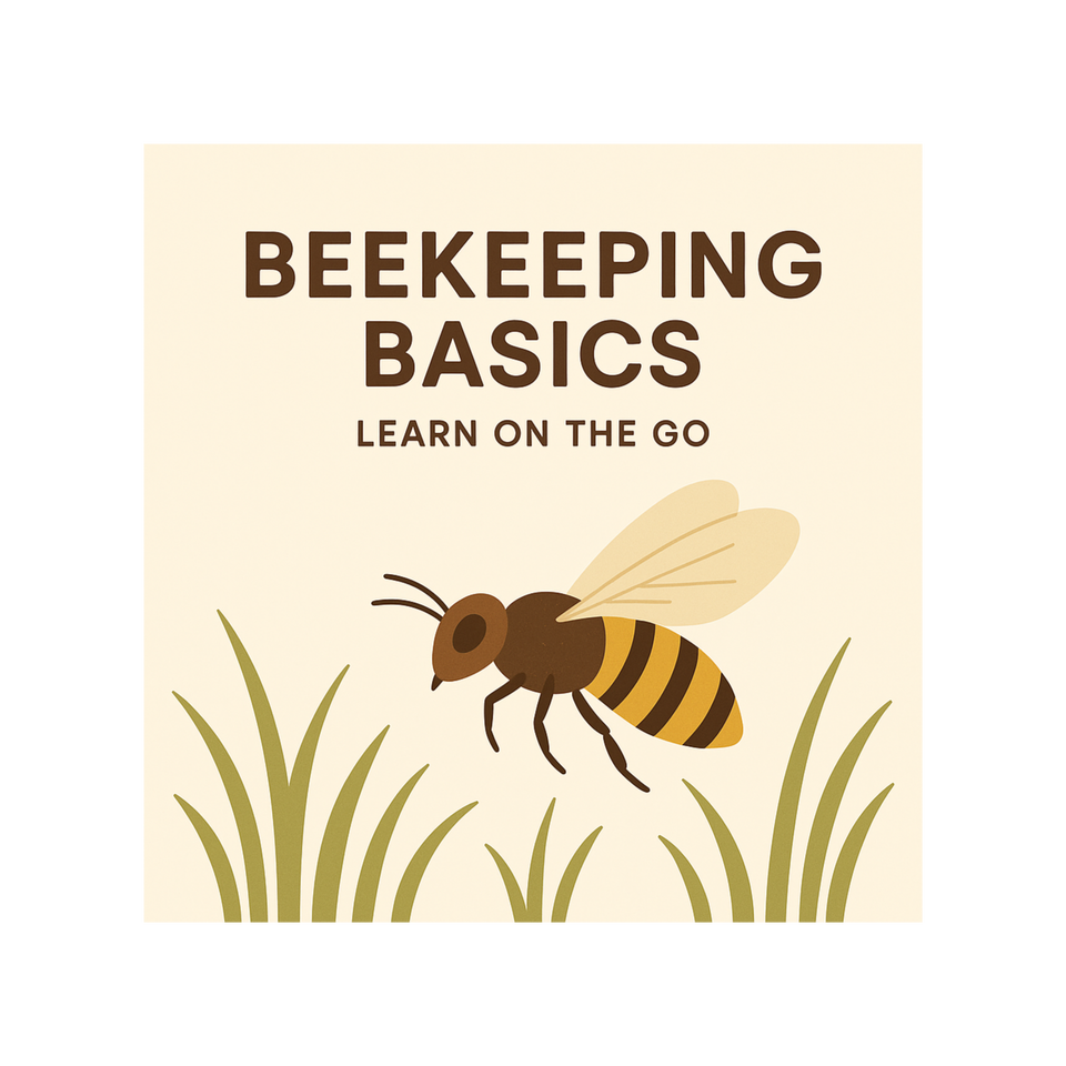 Beekeeping basics