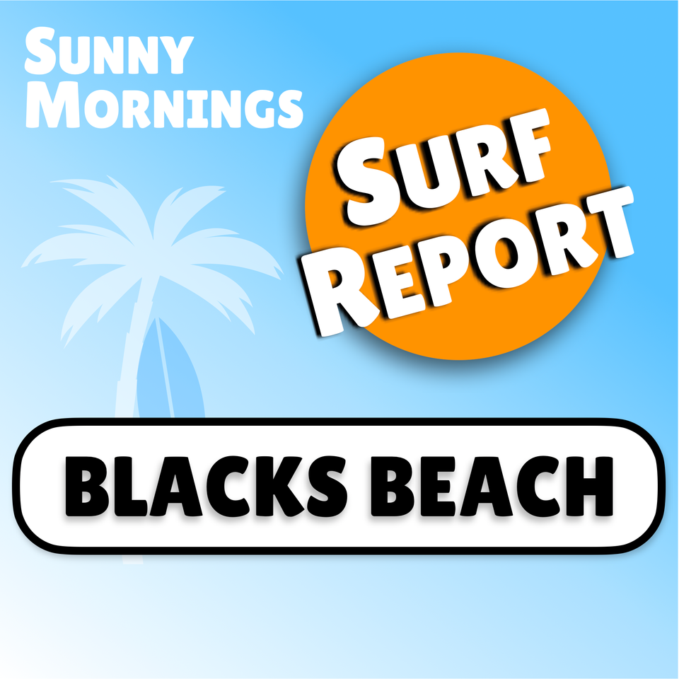 Blacks Beach Surf Report