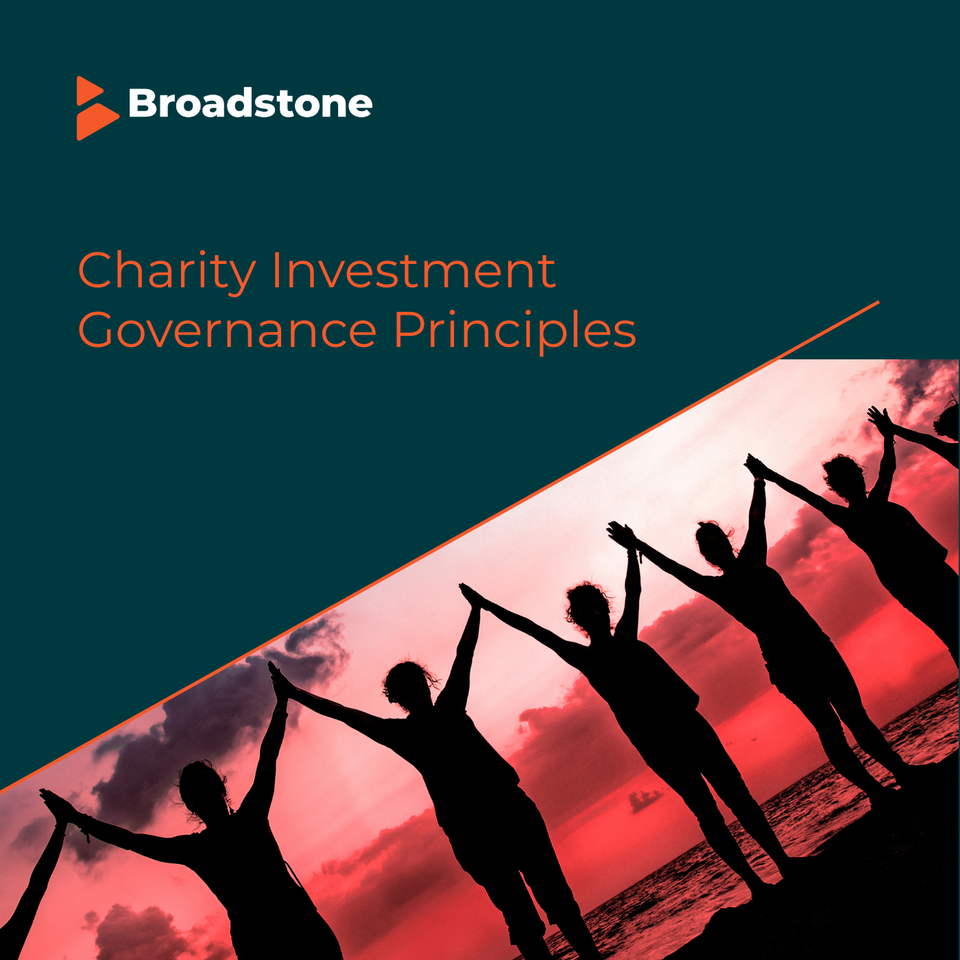 Charity Investment Governance Principles (CIGP) Series
