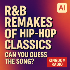 Christmas Light Installation