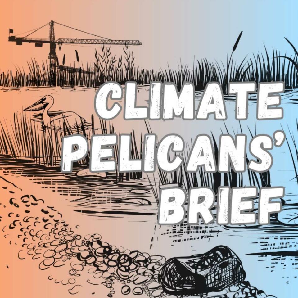 Climate Pelicans' Brief