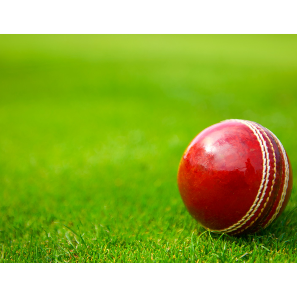 Cricket Matches