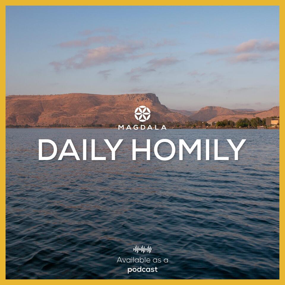 Daily Homily | Cycle A: 2025 – 2026