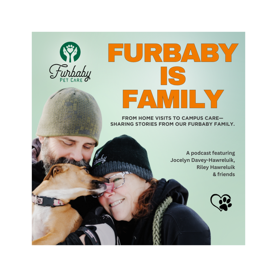Furbaby Is Family