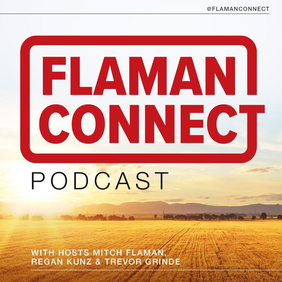 Flaman Connect
