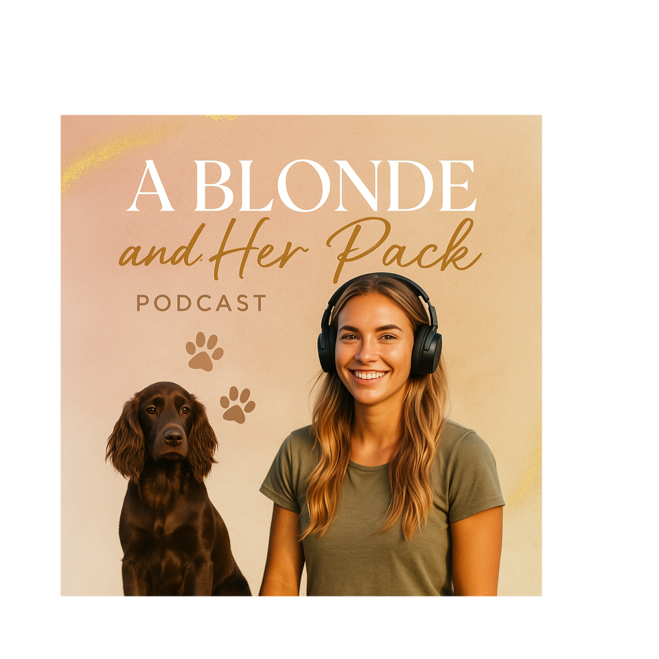 Where sass meets snacks & vet nurse facts