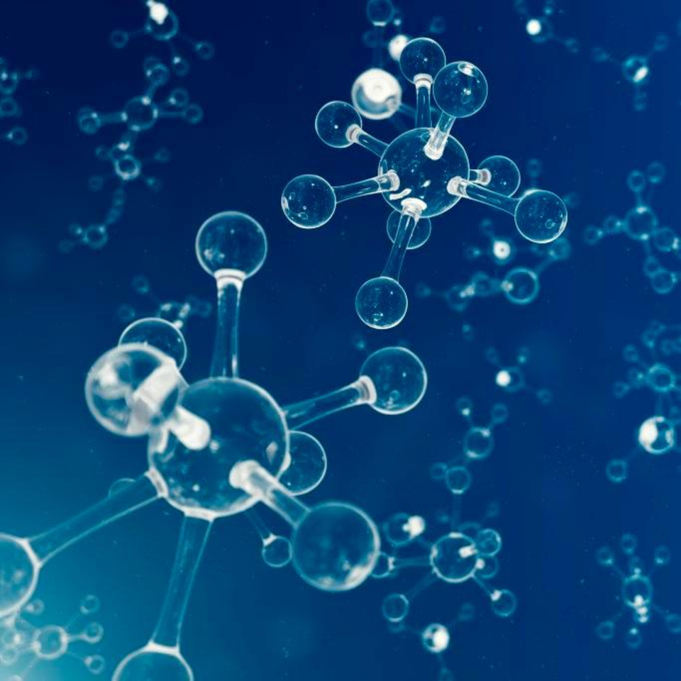 Redox Signaling