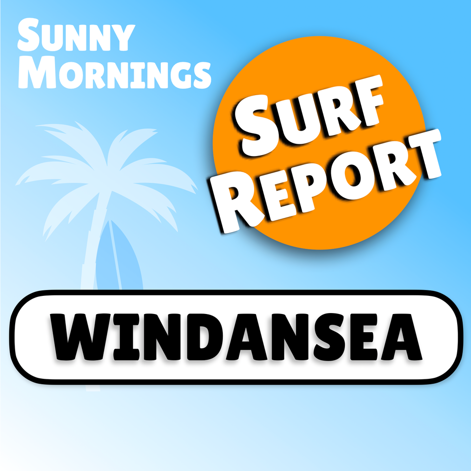 The Windansea Surf Report