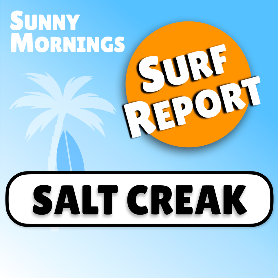 The Salt Creek Surf Report