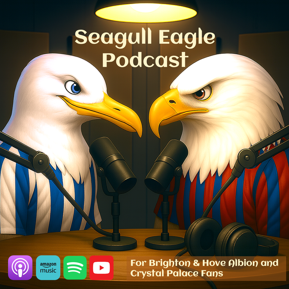 The Seagull Eagle Podcast