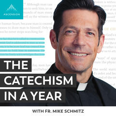Day 53: Man in Paradise - The Catechism in a Year (with Fr. Mike Schmitz)