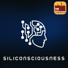 Siliconsciousness: The AI Competition: Public Policy Strategies: Part 1 - The DSR Network