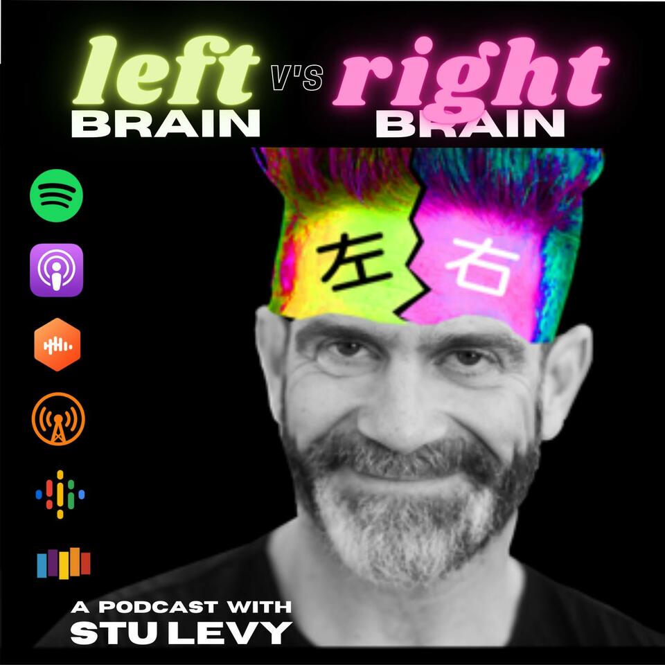 Left Brain vs. Right Brain with Stu Levy