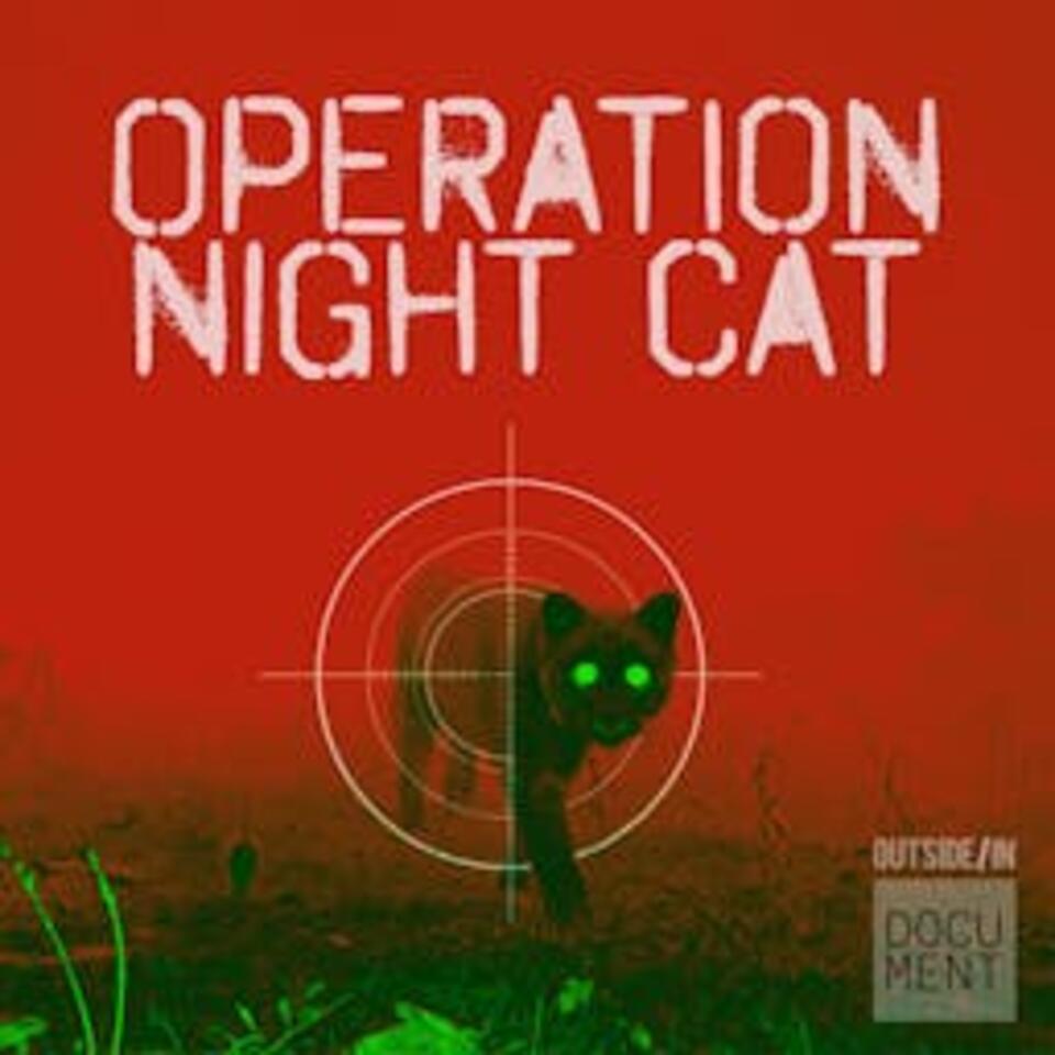 Operation Night Cat