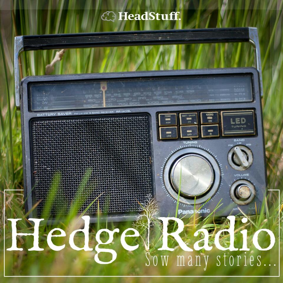 The HedgeRadio Podcast