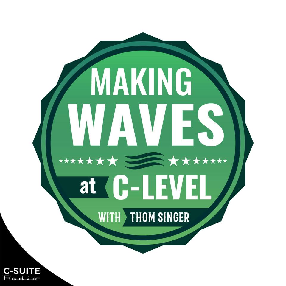 Making Waves at C-Level: Business Tips for Executives, Leaders, and Entrepreneurs