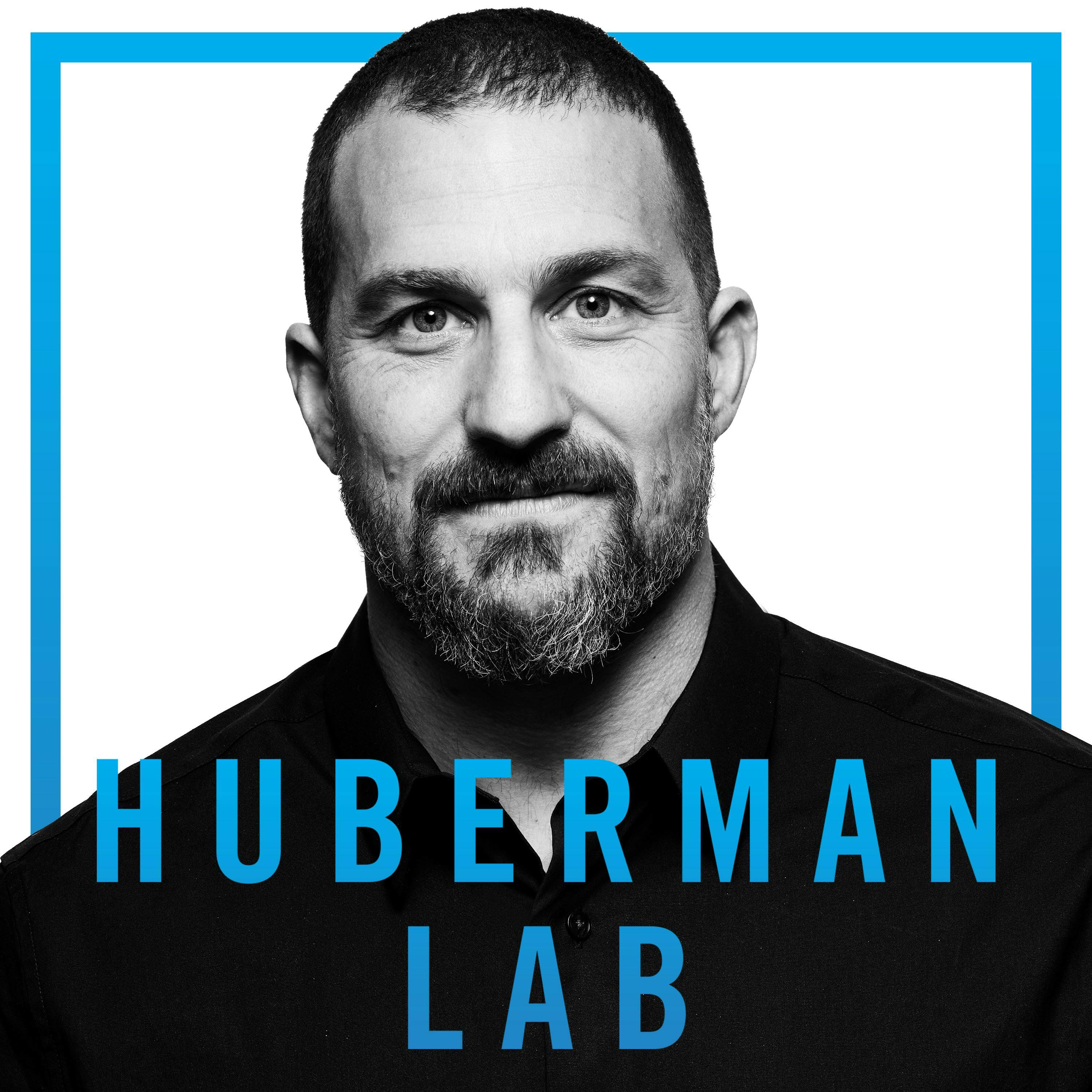 Huberman Lab Iheart 