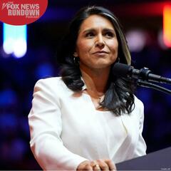 The Questions Surrounding Tulsi Gabbard - The Fox News Rundown