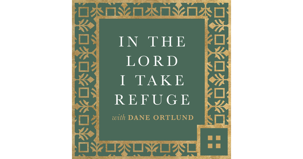 Psalm 143 My Soul Thirsts for You In the Lord I Take Refuge Daily