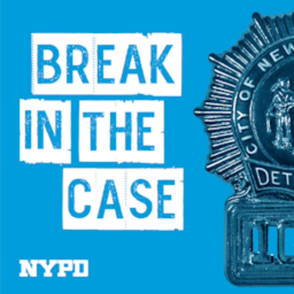 Break in the Case