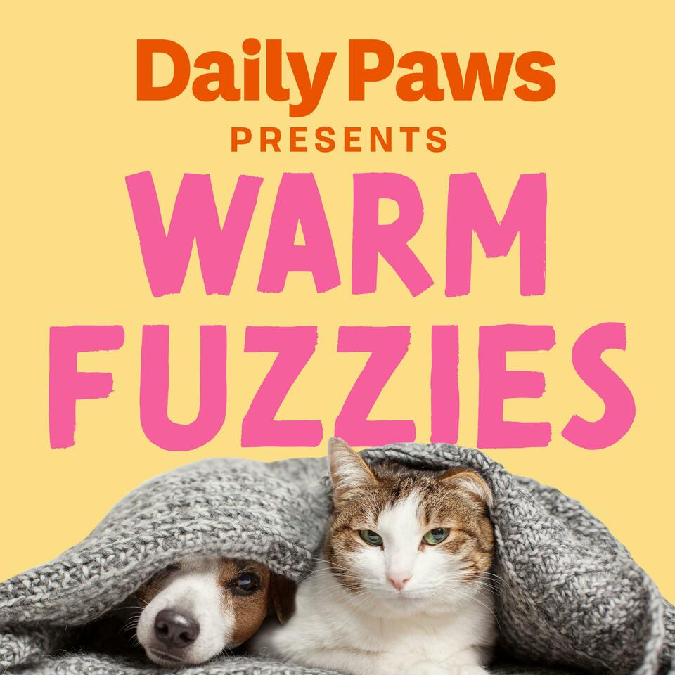 Daily Paws Presents: Warm Fuzzies