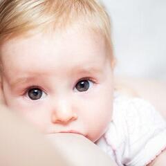 The Boob Group: Judgment-Free Breastfeeding Support