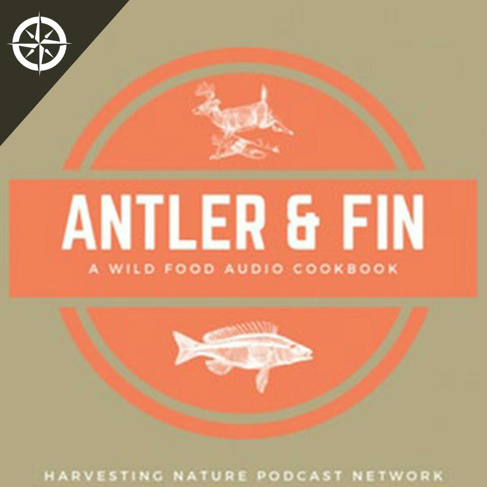 Antler & Fin