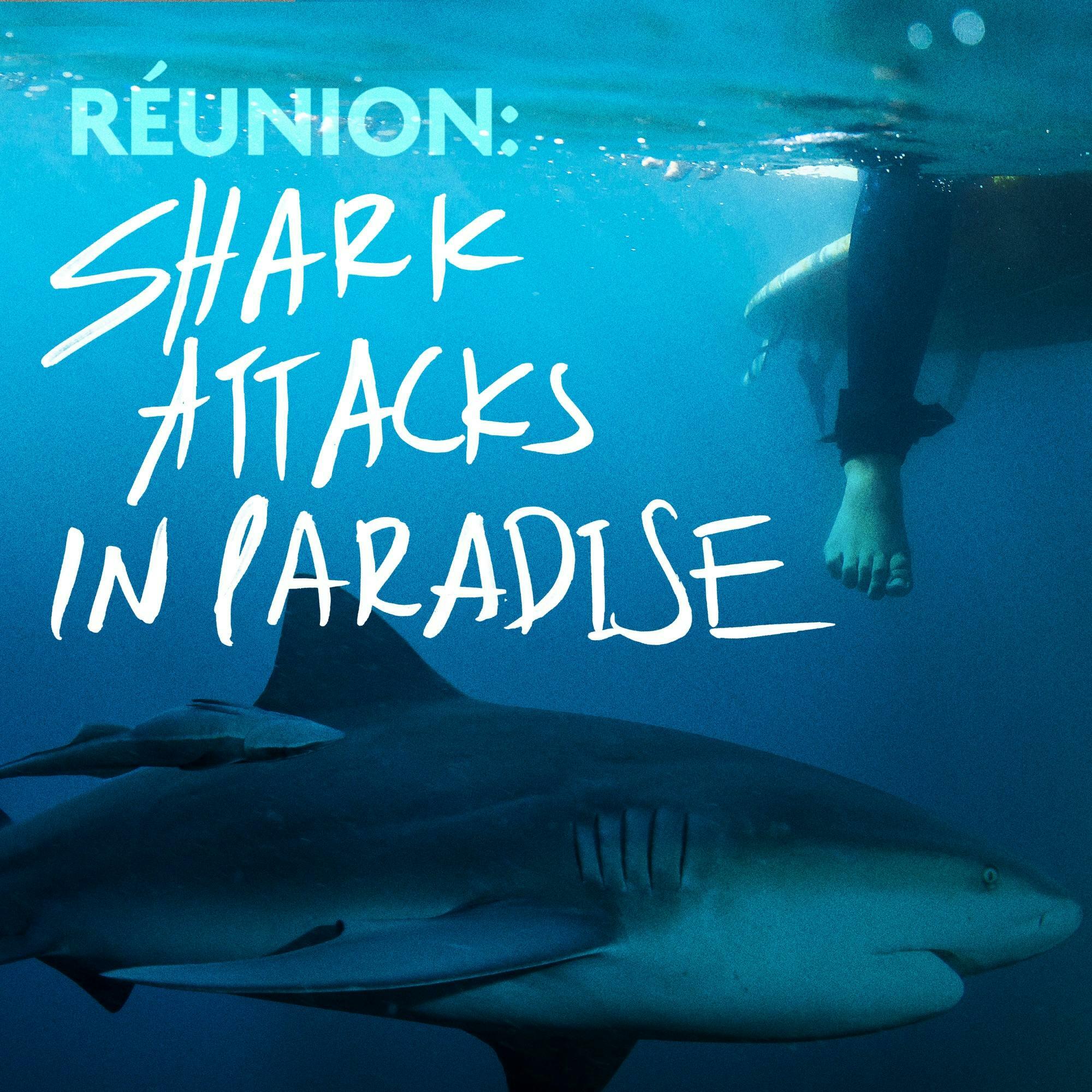 Shark Attacks in Paradise iHeart