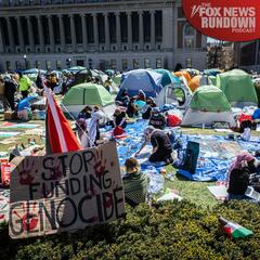 Anti-Israel Protests Shine A Light On Political Division  - The Fox News Rundown
