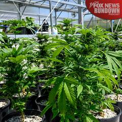 Biden Administration Moves To Ease Federal Weed Restrictions - The Fox News Rundown