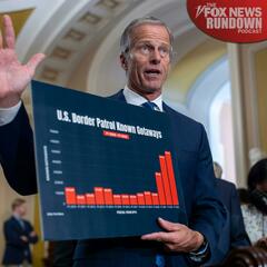 Playing Politics At The Border? Sen. Thune Says GOP Wants “A Real Solution" - The Fox News Rundown