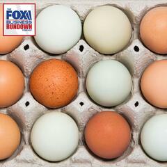 Business Rundown: How Did Eggs Get So Expensive? - The Fox News Rundown