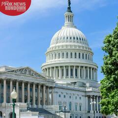 Congressional Challenges During Trump’s First 100 Days  - The Fox News Rundown