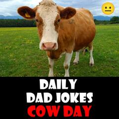 Daily Dad Jokes