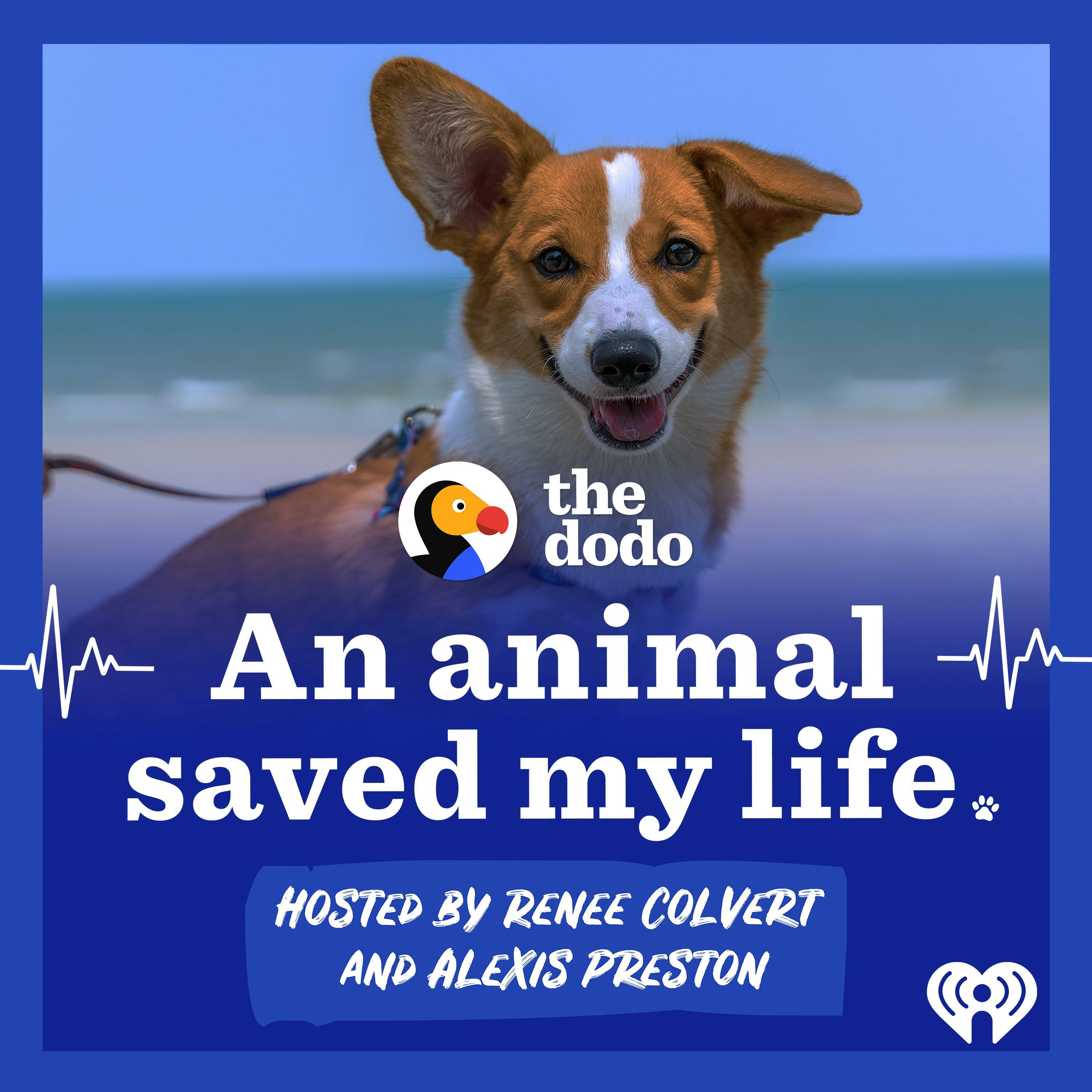 An Animal Saved My Life iHeart image