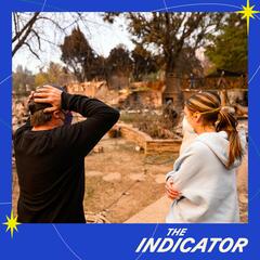 The Indicator from Planet Money