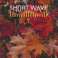 Short Wave